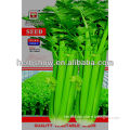 All Kinds Of Celery Seeds And Chinese Vegetable Seed